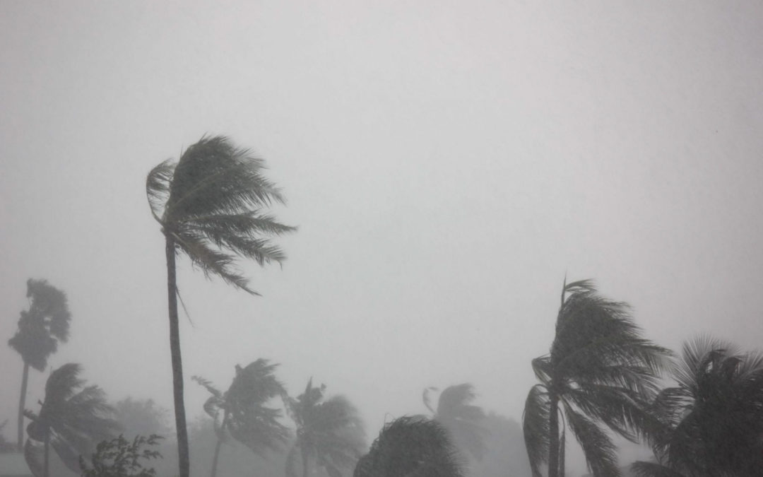 Tips To Keep Your Home Hurricane-Proof